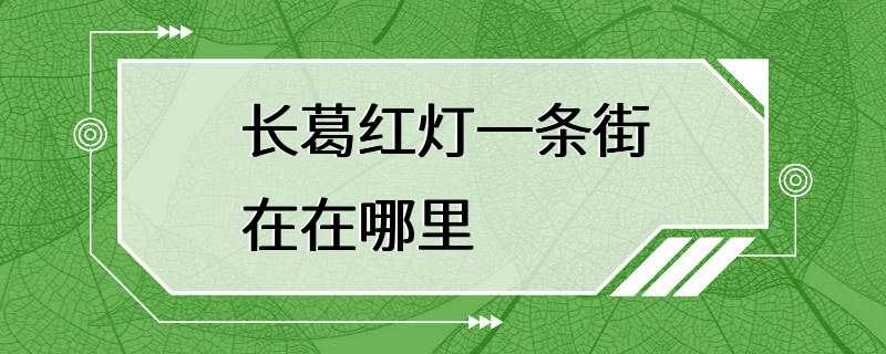 长葛红灯一条街在在哪里