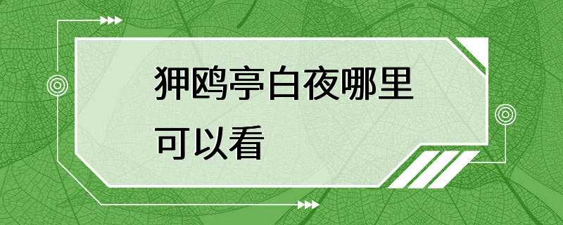 狎鸥亭白夜哪里可以看