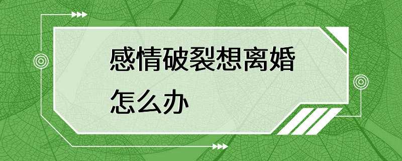 感情破裂想离婚怎么办