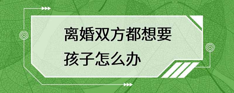 离婚双方都想要孩子怎么办