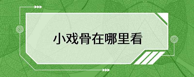 小戏骨在哪里看