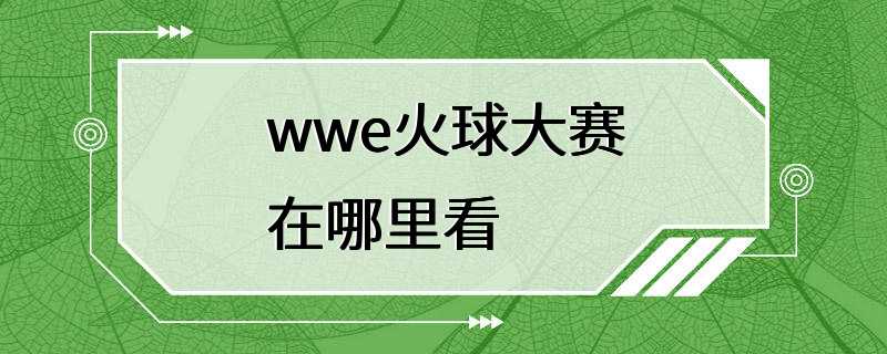 wwe火球大赛在哪里看