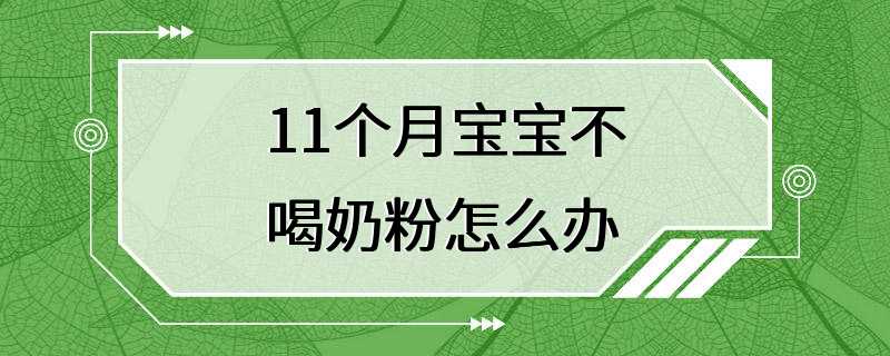 11个月宝宝不喝奶粉怎么办