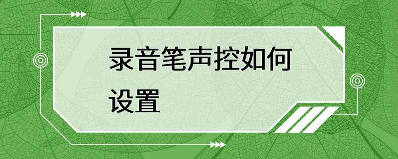 录音笔声控如何设置