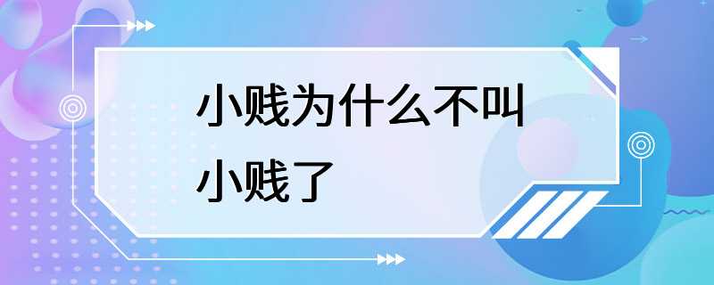 小贱为什么不叫小贱了