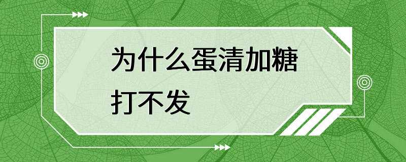 为什么蛋清加糖打不发