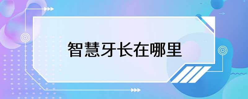 智慧牙长在哪里