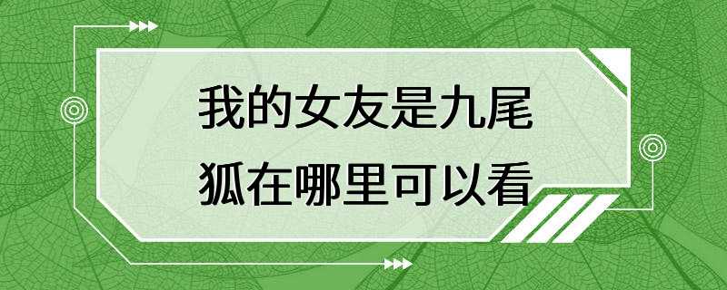 我的女友是九尾狐在哪里可以看