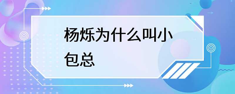 杨烁为什么叫小包总