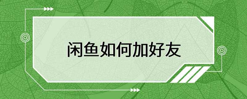 闲鱼如何加好友