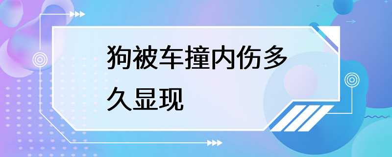 狗被车撞内伤多久显现