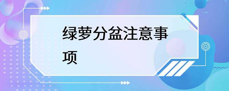 绿萝分盆注意事项