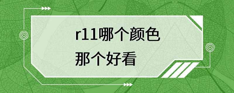 r11哪个颜色那个好看