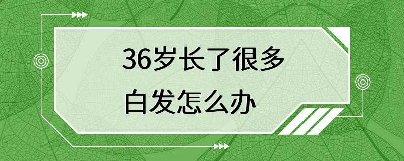 36岁长了很多白发怎么办