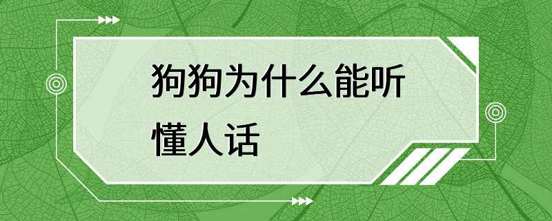 狗狗为什么能听懂人话