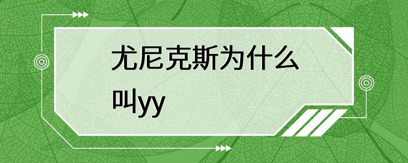 尤尼克斯为什么叫yy