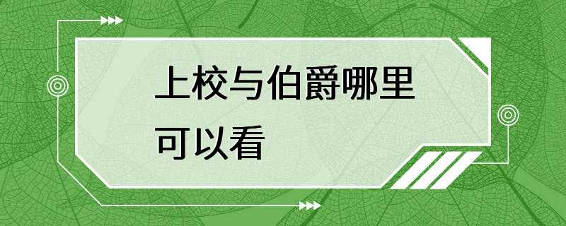 上校与伯爵哪里可以看