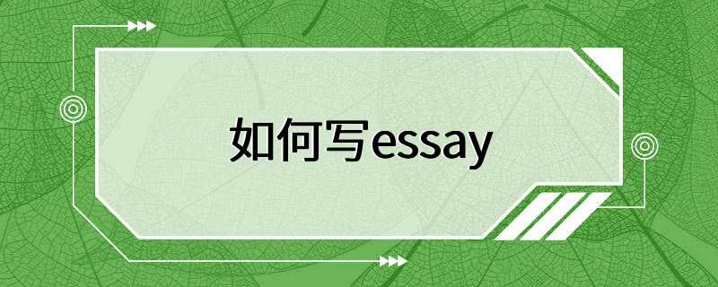 如何写essay