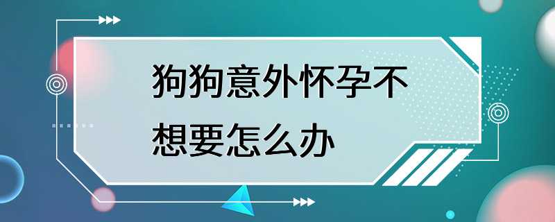 狗狗意外怀孕不想要怎么办