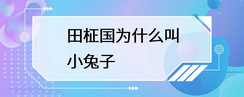 田柾国为什么叫小兔子