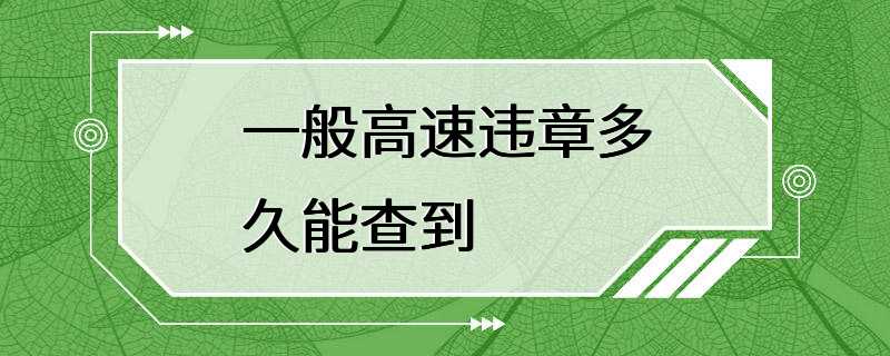 一般高速违章多久能查到