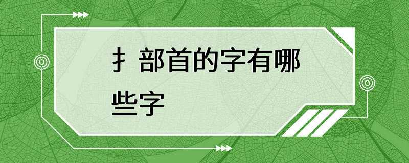 扌部首的字有哪些字