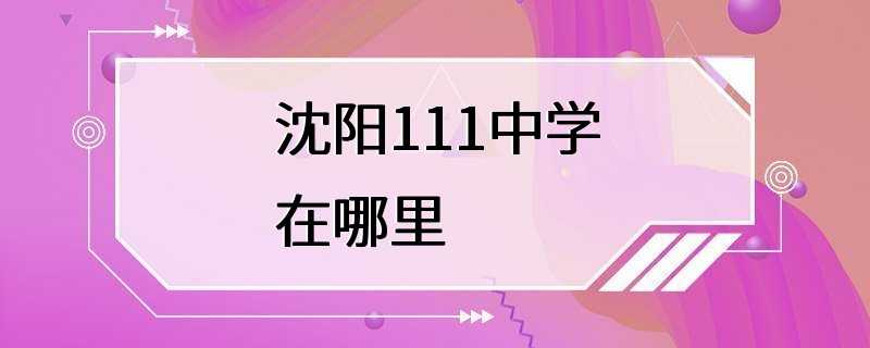 沈阳111中学在哪里