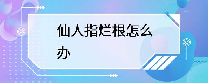 仙人指烂根怎么办