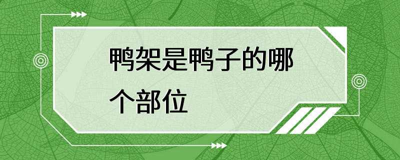 鸭架是鸭子的哪个部位