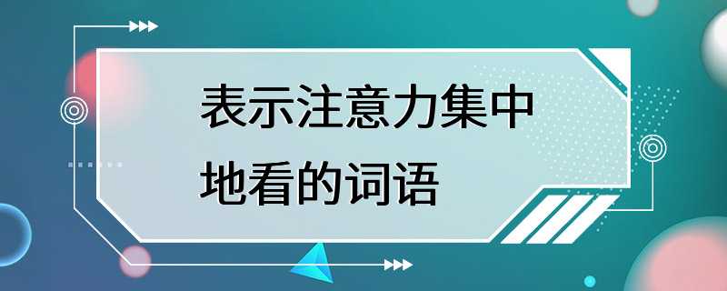 表示注意力集中地看的词语