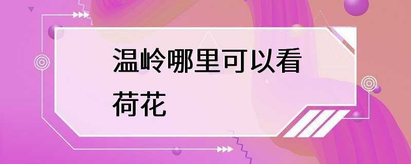 温岭哪里可以看荷花