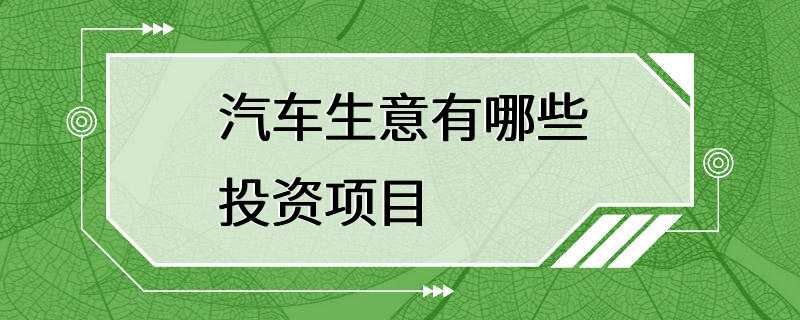 汽车生意有哪些投资项目