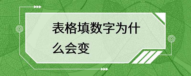 表格填数字为什么会变