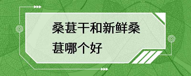 桑葚干和新鲜桑葚哪个好