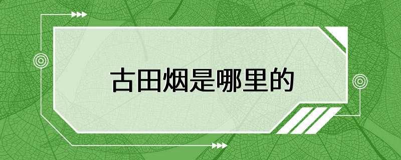 古田烟是哪里的