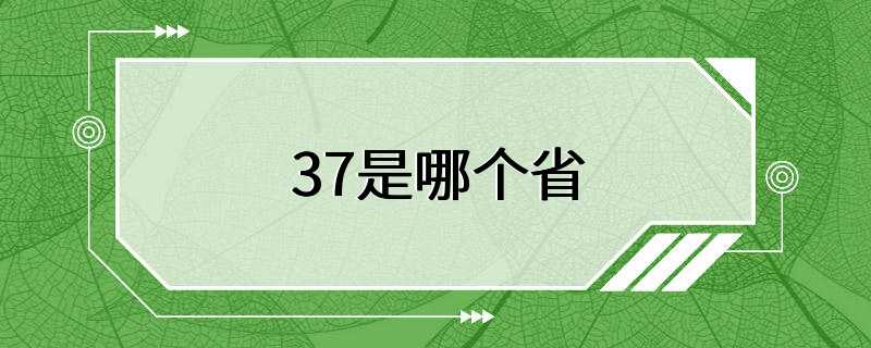 37是哪个省