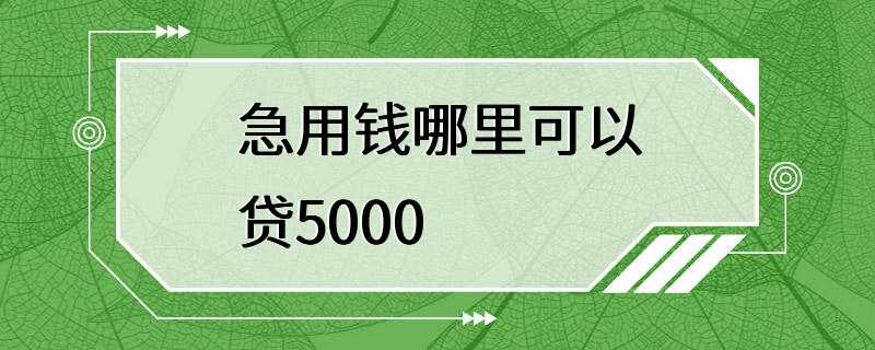 急用钱哪里可以贷5000