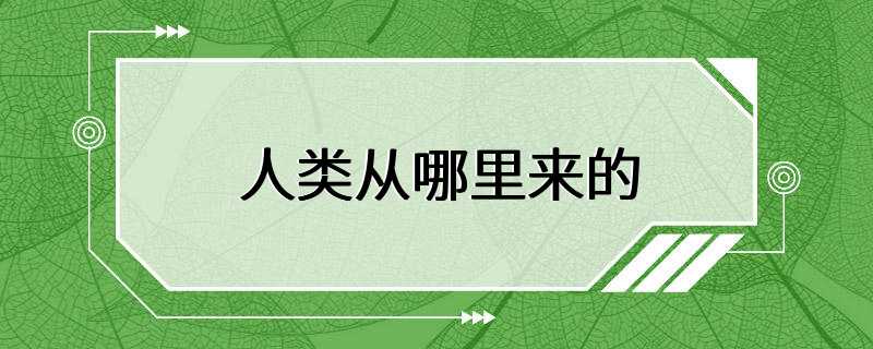 人类从哪里来的