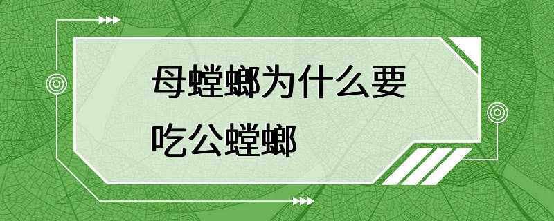 母螳螂为什么要吃公螳螂