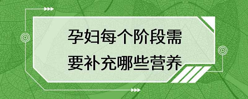 孕妇每个阶段需要补充哪些营养