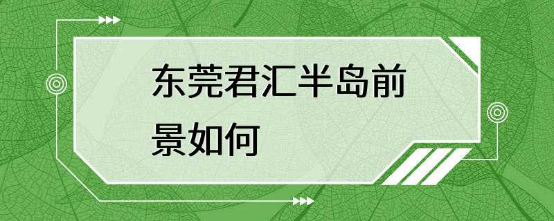 东莞君汇半岛前景如何