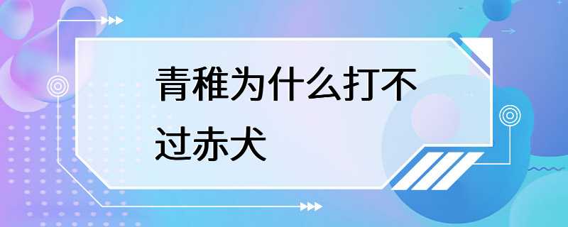 青稚为什么打不过赤犬