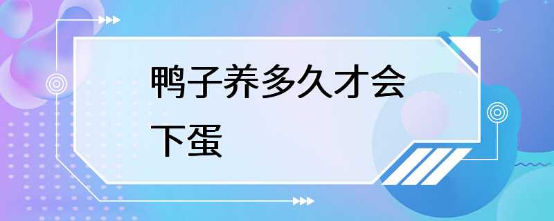 鸭子养多久才会下蛋