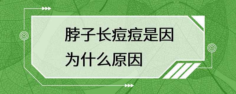 脖子长痘痘是因为什么原因