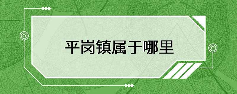 平岗镇属于哪里