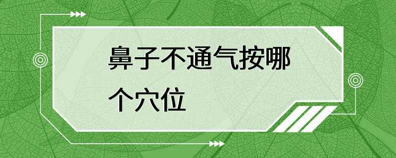 鼻子不通气按哪个穴位