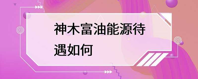 神木富油能源待遇如何