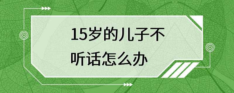 15岁的儿子不听话怎么办