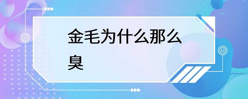 金毛为什么那么臭