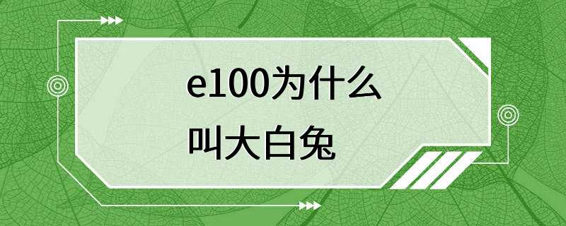 e100为什么叫大白兔